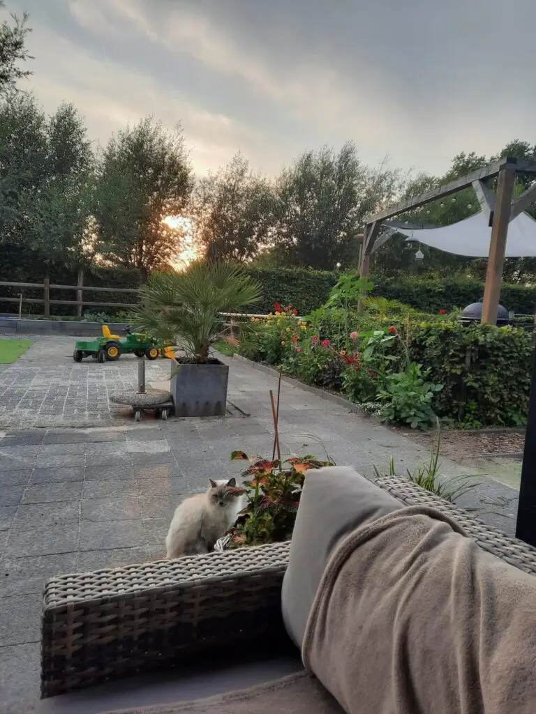 Locatie van Dagbesteding Klijn Geluk in Kaatsheuvel